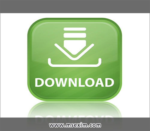 M.S. Exim Services Custom House Agents in Ludhiana Punjab India